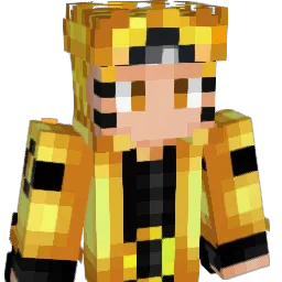DongGua9487 Minecraft avatar bust