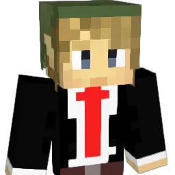 DonkMcDonkey Minecraft avatar bust
