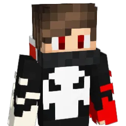 Donkani3 Minecraft avatar bust