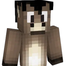 DonkeHD Minecraft avatar bust