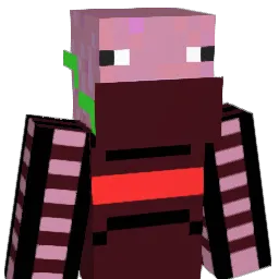 Donkey69420 Minecraft avatar bust