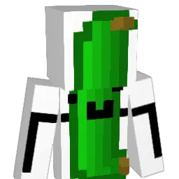 Donkeyballs9 Minecraft avatar bust