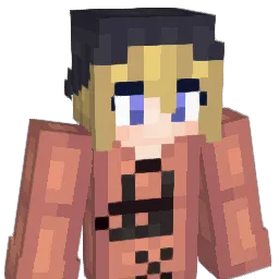 Donktimized's Minecraft skin