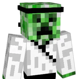 Donkus1 Minecraft avatar bust