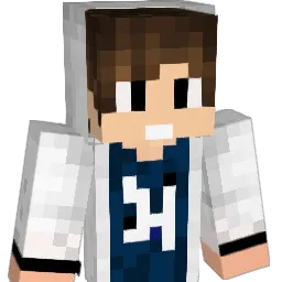 DonnyBresko Minecraft avatar bust
