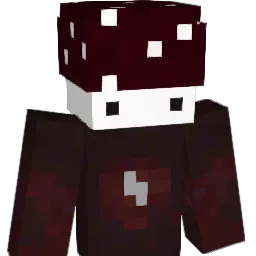 DontCriImFli Minecraft avatar bust