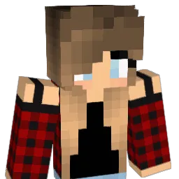 DontLetMeSink3 Minecraft avatar bust