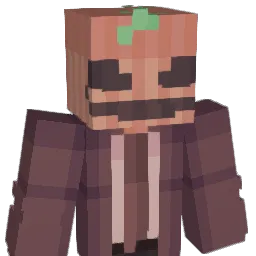 Donut_67 Minecraft avatar bust