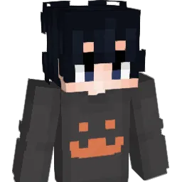 Doodlebugs83 Minecraft avatar bust