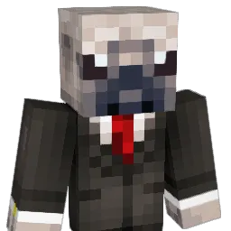 Doogry Minecraft avatar bust
