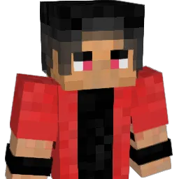DoppeltG Minecraft avatar bust