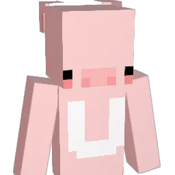 DorciaToDzban Minecraft avatar bust