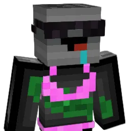 Dosenbohne Minecraft avatar bust