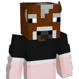 DoubleParadiddle's Minecraft skin