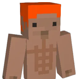 Doughnutty1 Minecraft avatar bust