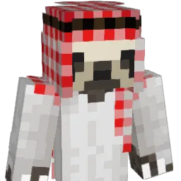 Dowden11 Minecraft avatar bust