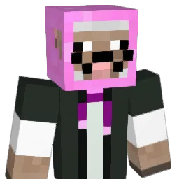 Downtownboy11 Minecraft avatar bust