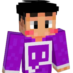 Dowonny Minecraft avatar bust