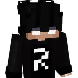 Dprogamer