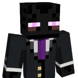 Dr0iDz1 Minecraft avatar bust