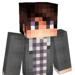 DrFink Minecraft avatar bust