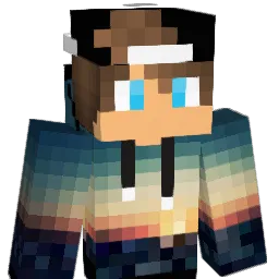 DrKing11 Minecraft avatar bust
