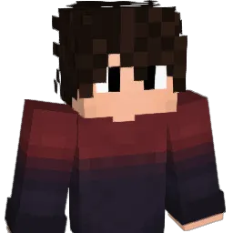 DrPagoto Minecraft avatar bust
