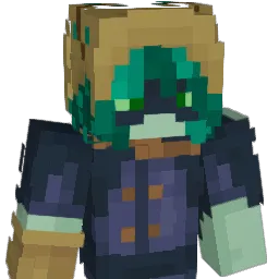 DrRev1