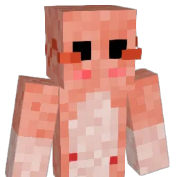 DrShrimpy_ Minecraft avatar bust