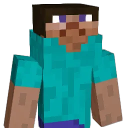 DrSticks5 Minecraft avatar bust