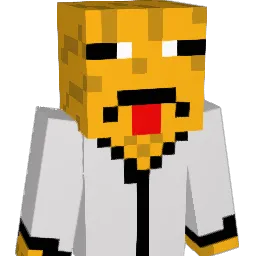 DrUst04 Minecraft avatar bust