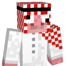 DrWaix Minecraft avatar bust