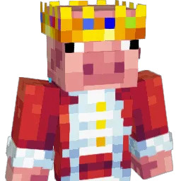 Dr_Doctor2763 Minecraft avatar bust