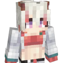 Dr_JR0930 Minecraft avatar bust