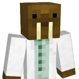 Dr_SeaCoconut Minecraft avatar bust