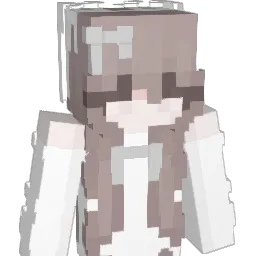 Dr_tu Minecraft avatar bust