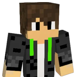 Dracodom11 Minecraft avatar bust