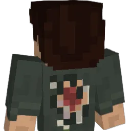 Drafire35 Minecraft avatar bust