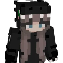 Dragon20145 Minecraft avatar bust