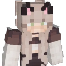 DragonFlame0066 Minecraft avatar bust