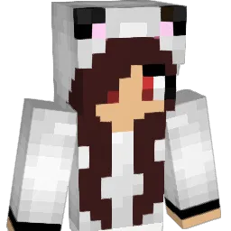 Dragonflies111 Minecraft avatar bust