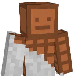 Dragonlover331 Minecraft avatar bust