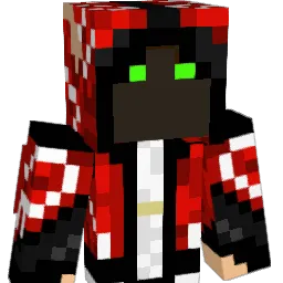 Dragonwolf1119 Minecraft avatar bust
