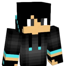 Dragonwolf1216 Minecraft avatar bust