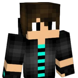 Draimi123 Minecraft avatar bust
