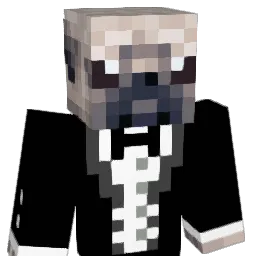 Drakesters Minecraft avatar bust