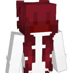 Drakkoov's Minecraft skin