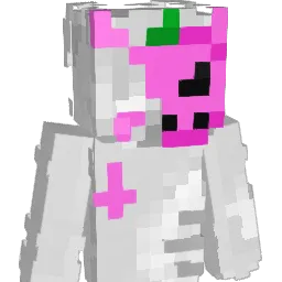Drasky_ Minecraft avatar bust