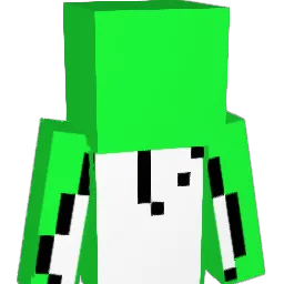 DreamFanGirl2008 Minecraft avatar bust