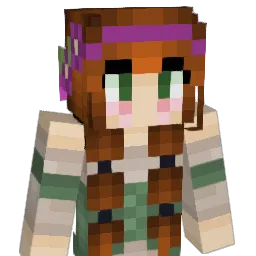 DreamSmasher51 Minecraft avatar bust